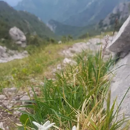 Stephanie - In The Heart Of Alps Above Varenna, شقة *