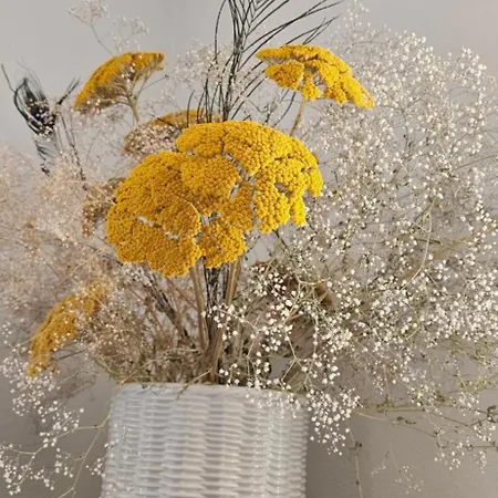 Stephanie - In The Heart Of Alps Above Varenna, Apartmán *