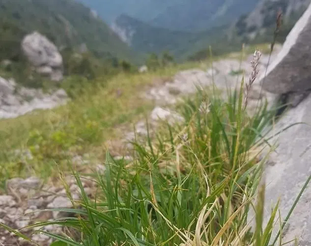 Stephanie Apartment *