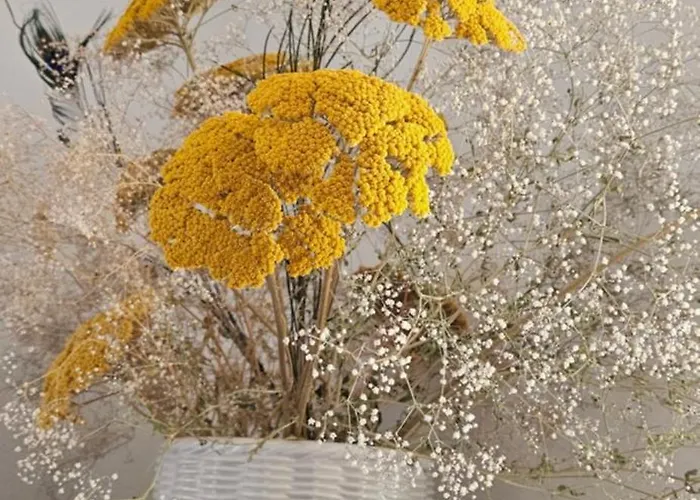 Stephanie Apartment *